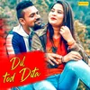 About Dil Tod Dita Song